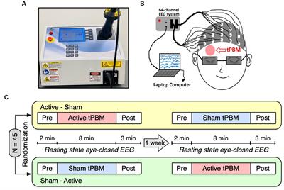 Temporal and spectral analyses of EEG microstate reveals neural effects of transcranial photobiomodulation on the resting brain